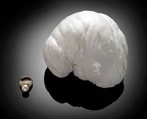 Brain Shaped Pearl for Auction at Bonhams